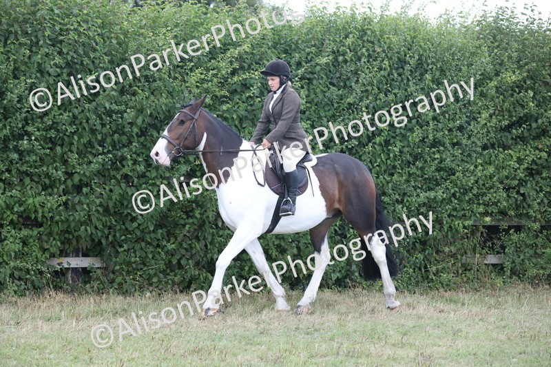 20250831-4260 - Class 20 - Ridden Coloured