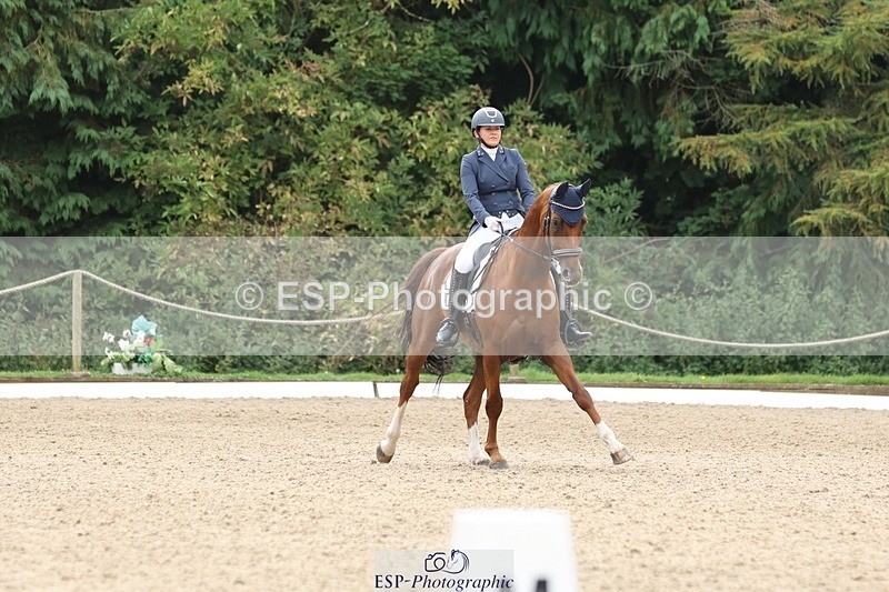 240810-140422-03429 - 110-Helen.Kitto-Da.Vinci.IV