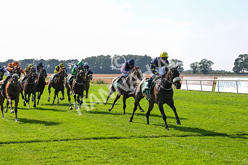300824-Race 5-Shesashambles-6200 - Race 5
