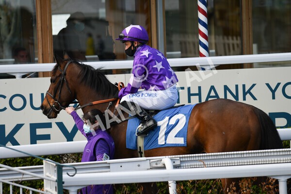 yr13052021r7-5 - Race 7 4.50pm Autohorn Stakes