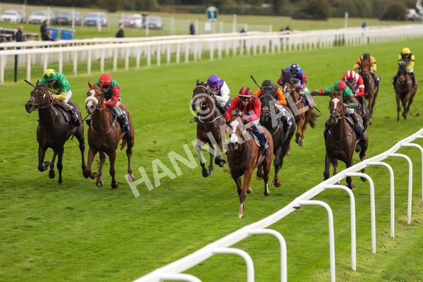 131023-Race 4-Hafeet Alain-9807 - Race 4 3.50pm William Hill Autumn Mile Handicap