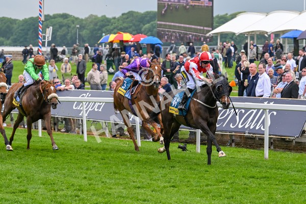 150524-Race 2-Aleezdancer-3839 - Race 2 2.45pm Churchill Tyres Handicap