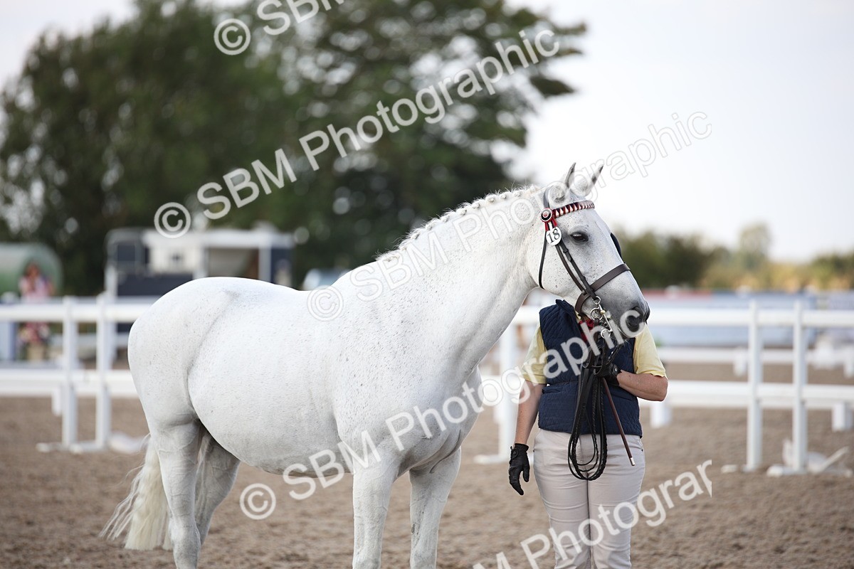 SBM_07129 - Class 25 IH Foreign Breeds- Pure bred