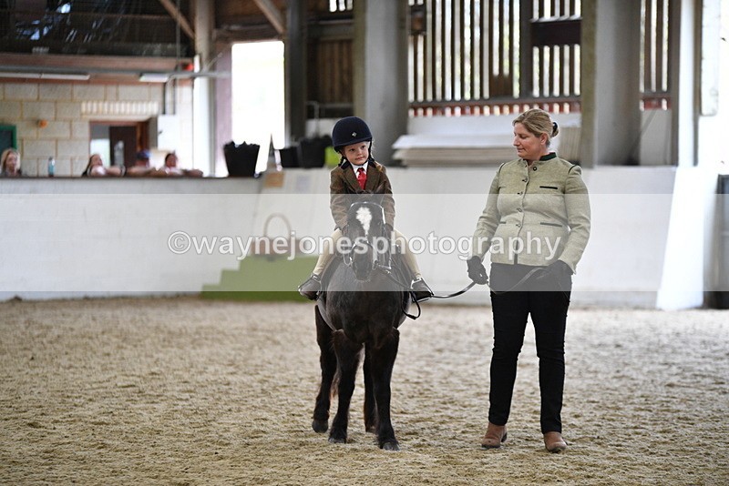 WJ5_6630 - Class 10 Childs Pony