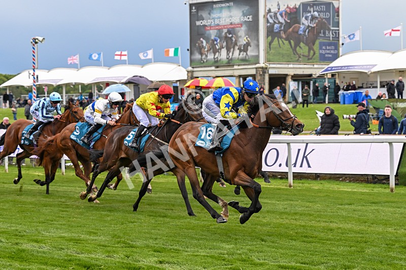 130526-Race 6-Startled-3445 - Race 6 4.40pm Conundrum HR Consulting Handicap