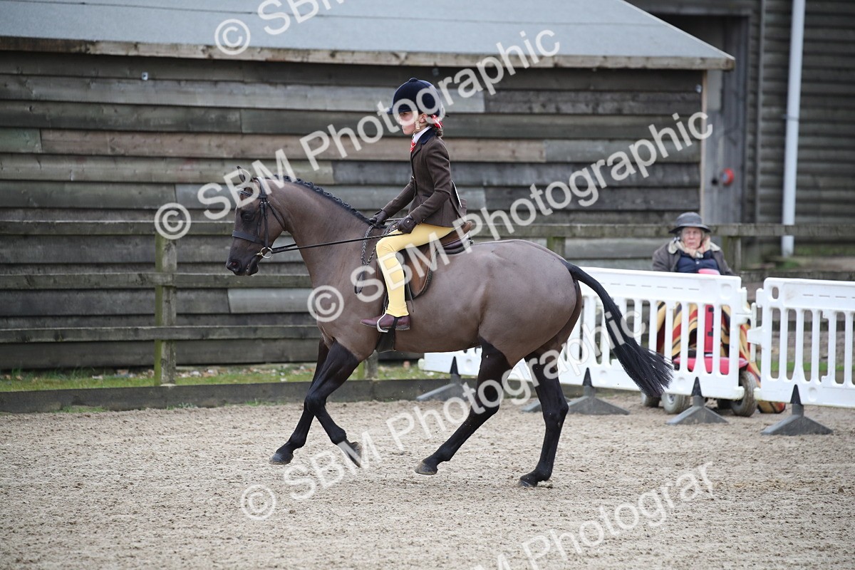 SBM_004614 - Class 5-9 - NPS In Hand-Show Hunter-Intermediate Ridden Inc Ridden Championship