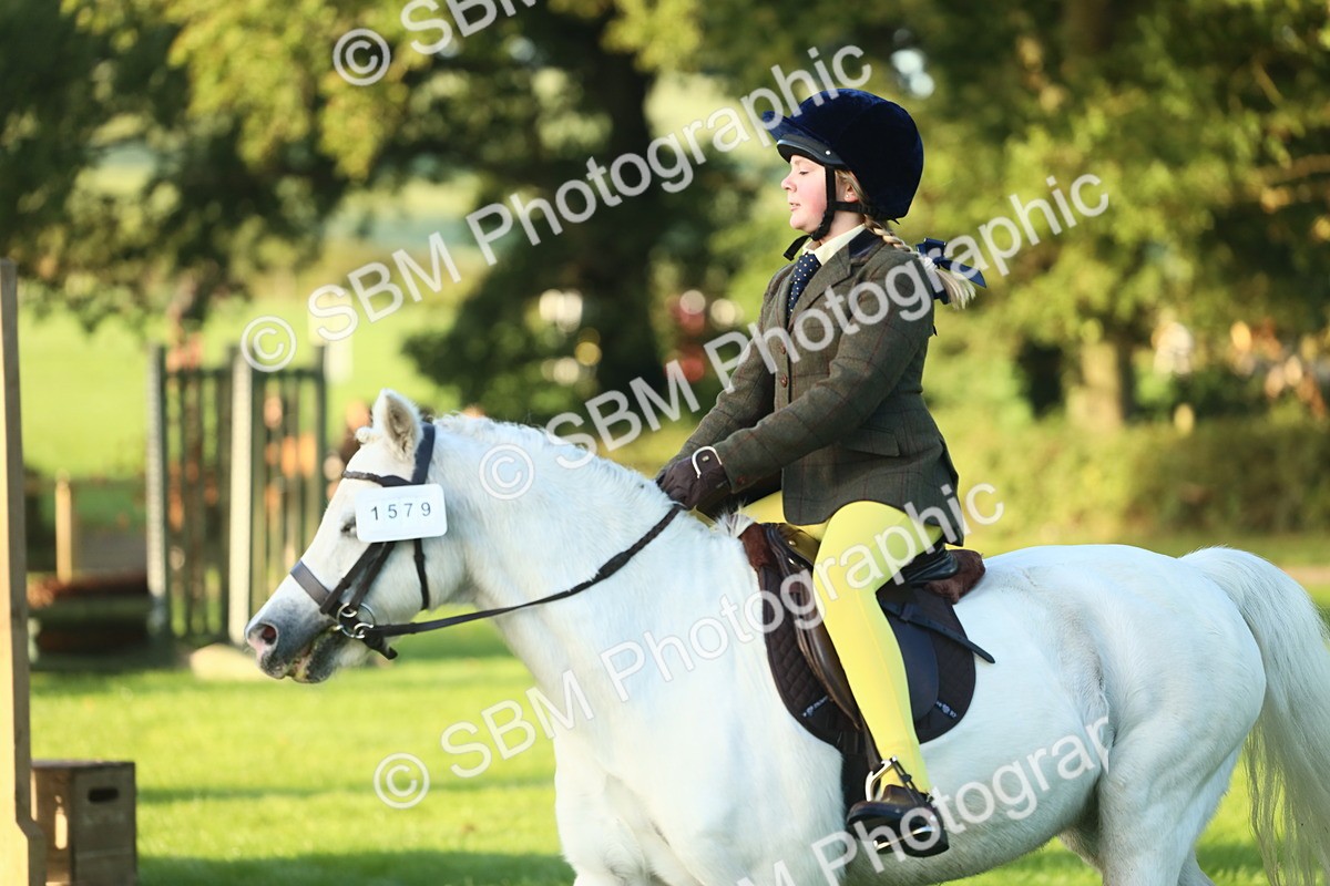 SBM_37174 - S29 - Novice & Newcomers Working Hunter Pony