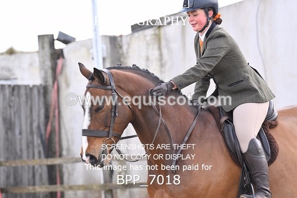 BPP_7018 - RING 1  (RIDDEN HORSES / IN HAND / VETERAN ETC)