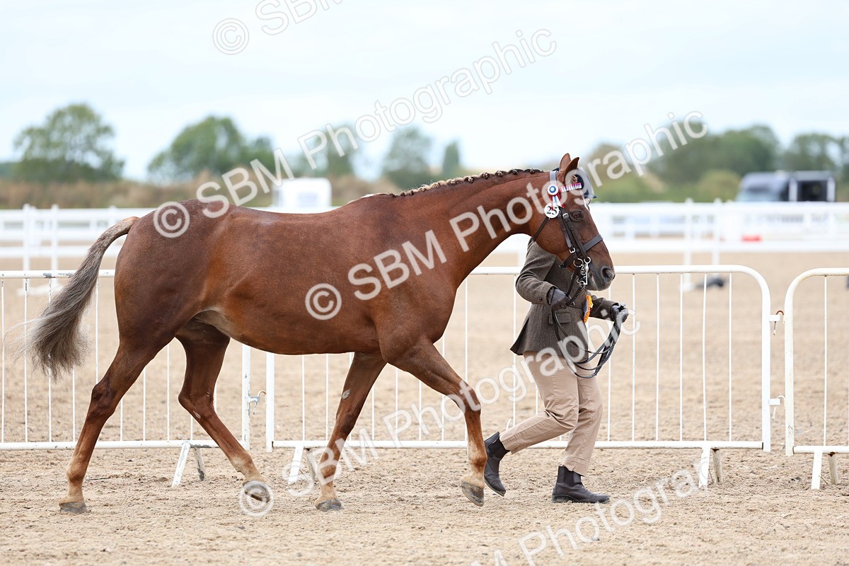 SBM_05996 - Class 29 - IH Veteran Pony