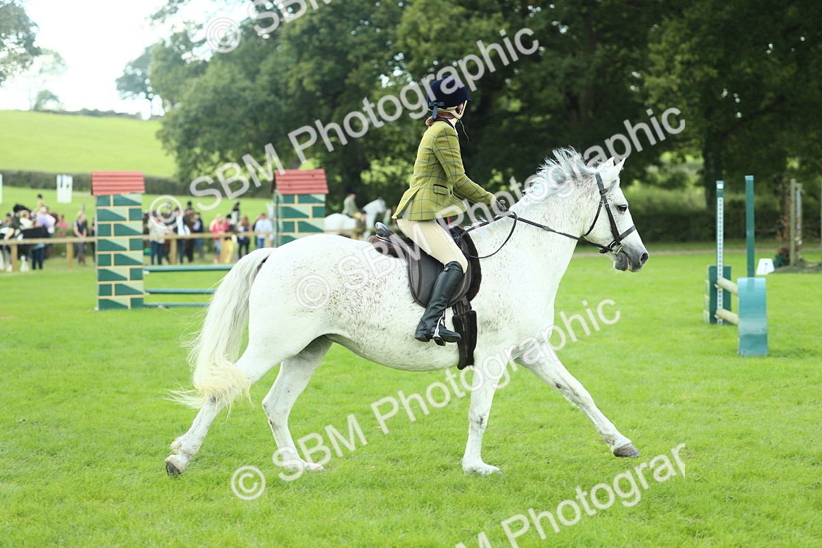 SBM_43030 - S30 - M&M Working hunter Pony
