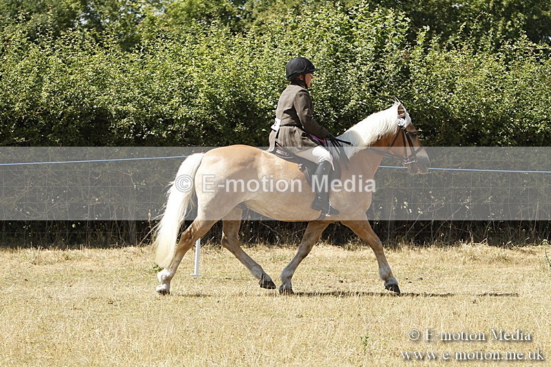 _BS_0887 - BVRC Show 2018 Ring 1