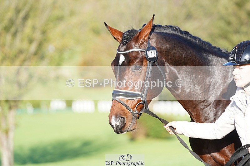 241026-101712-11749 - 012-Mollie.Summerland-SKITTEL.D'EKWI