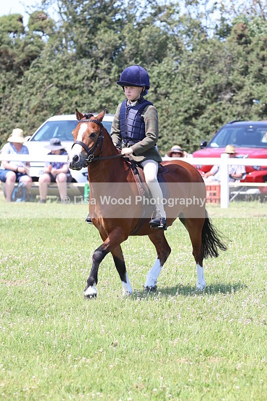 JPP_2338 - Class 20: Tiny Tots Working Hunter Pony