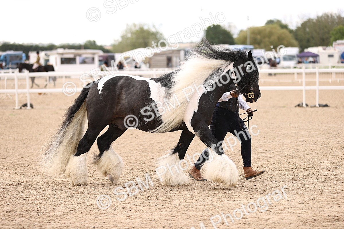 SBM_09300 - Class 404 - IH Traditional - Native Cob