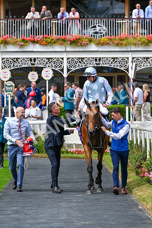 250726-Race 2-Stratusnine-0694 - Race 2 14.00pm Sky Bet Dash