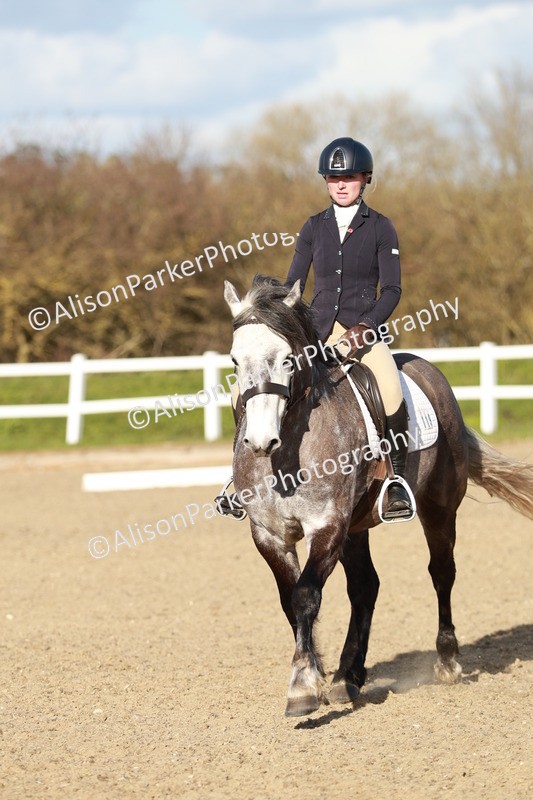 20260314-5421 - DR4 - Prelim 2