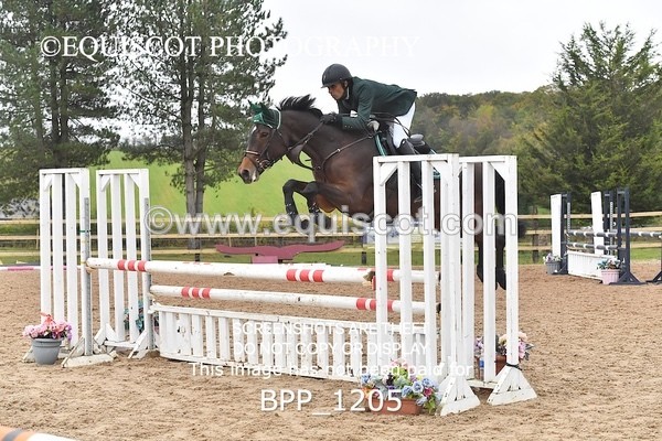 BPP_1205 - CLASS 14 SUN 1.05m Amateur Championship Qualifier/ 1.05m Open