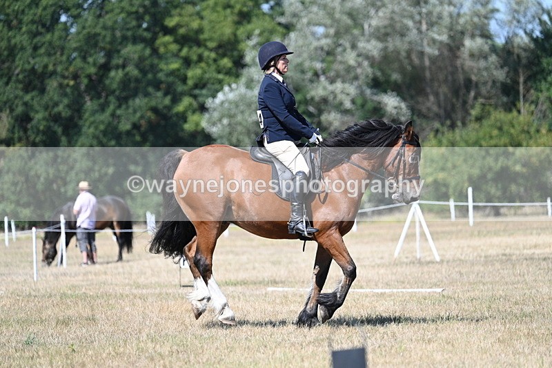 WJ7_0816 - Time 12:03 to 12:23