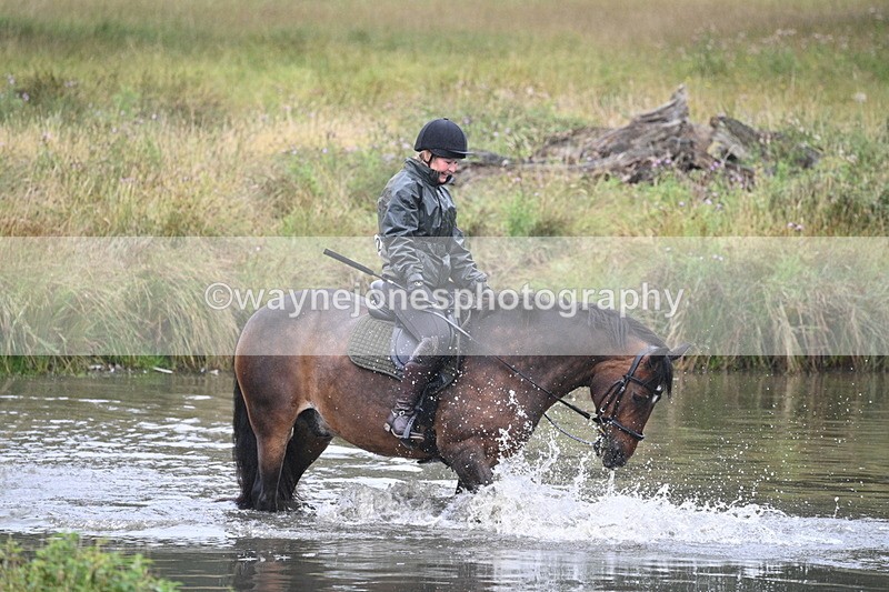 WJ7_8950 - Time at Water 11:53 to 12:23