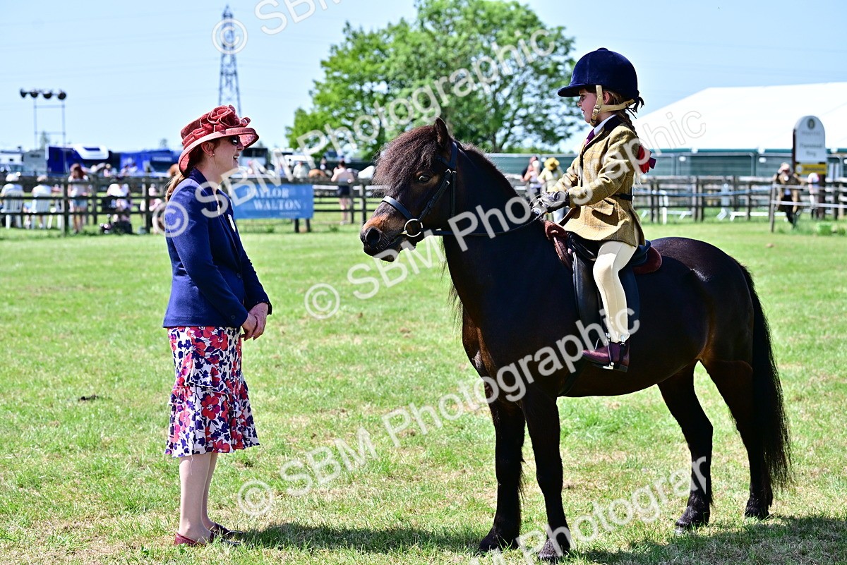 SBM_06095 - Class 59-60 - TSR M&M  Lear Rein and First Ridden Amateur of the year