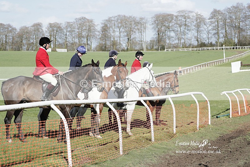 PtP 100423 974 - Old Berkshire Point-to-Point Lockinge 10/04/23