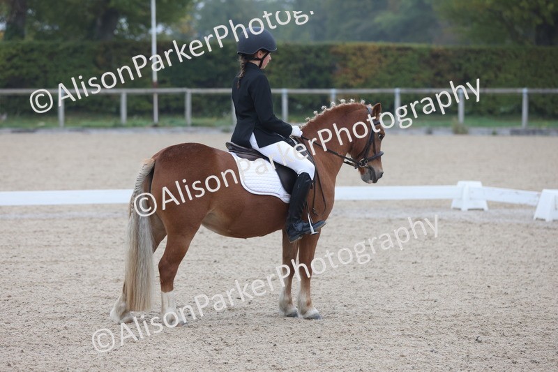 20251012-0091 - Class 1 - Prelim 5