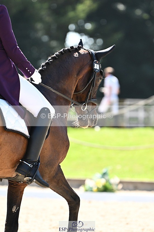 240811-150042-06575 - 153-Nicola.Kayes-BOSS.X