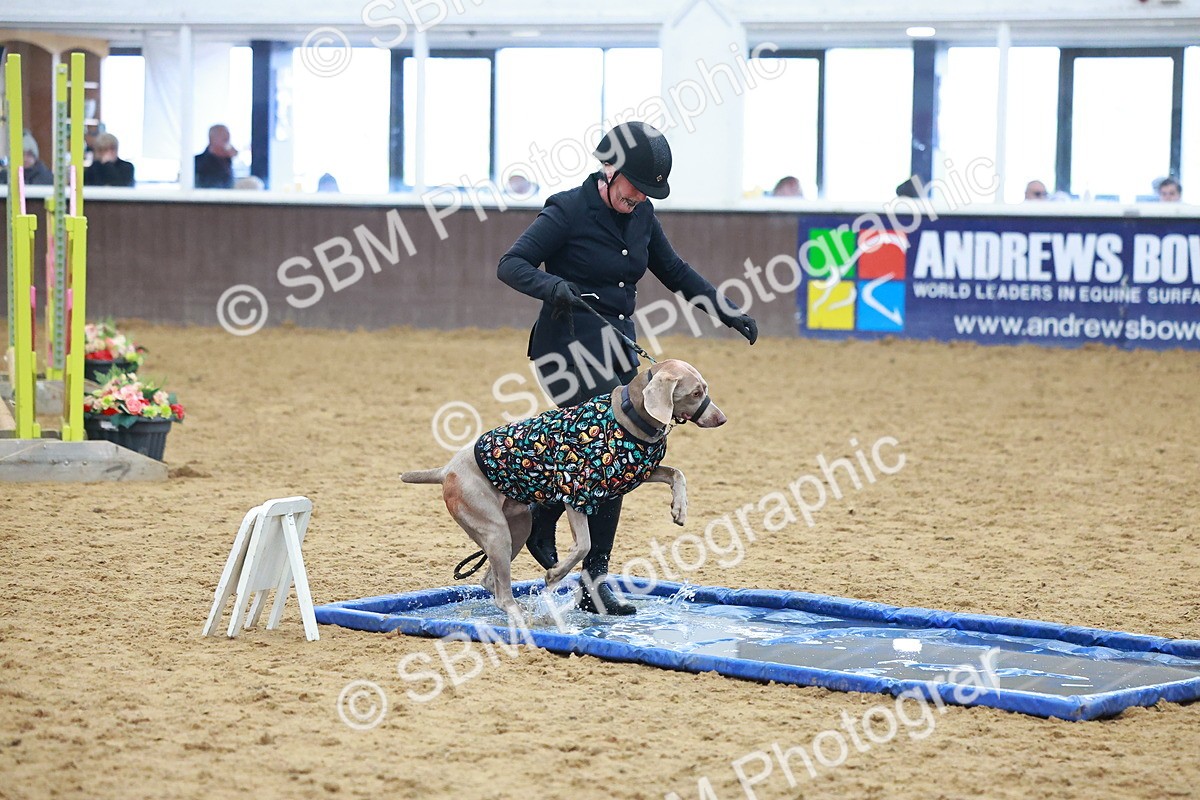 SBM_001755 - Class 3 - Horse & Hound (60cm)