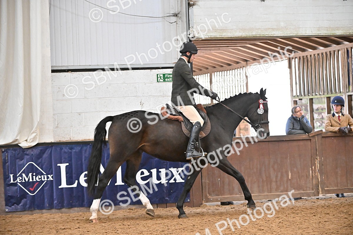 SBM_002340 - Class 22 - BSHA Ridden Hack & Riding Horse