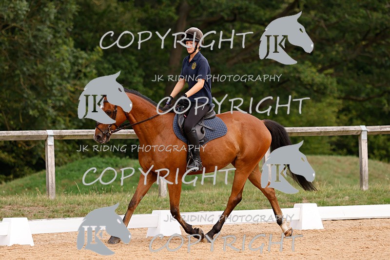 _R6A2671 - Dressage Morning