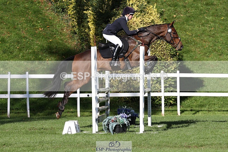 231022-111202-25021 - 617-MR.MISCHIEVOUS-Megan.Brown-TrotUp+SJ