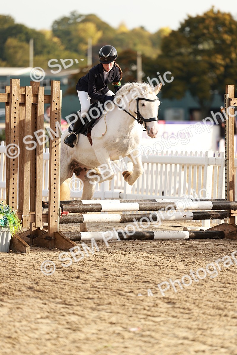 SBM_55591 - J11 - Junior Pony 50cm Championship