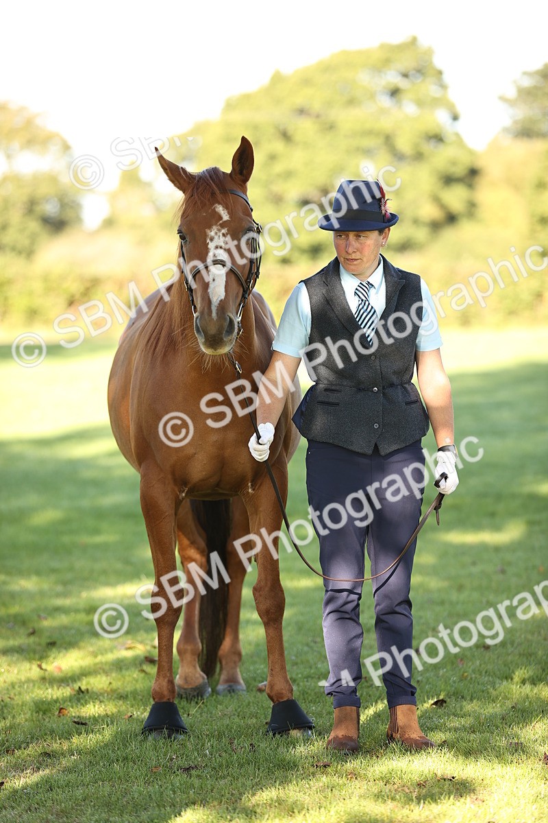 SBM_15751 - S1 - TSR in Hand Horse & Pony Showing