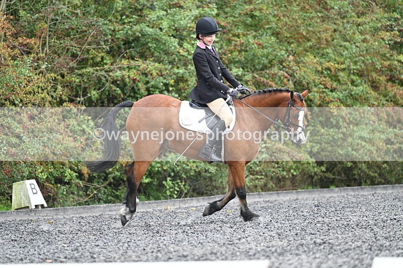 WJ7_4019 - Time 11:04 to 11:38