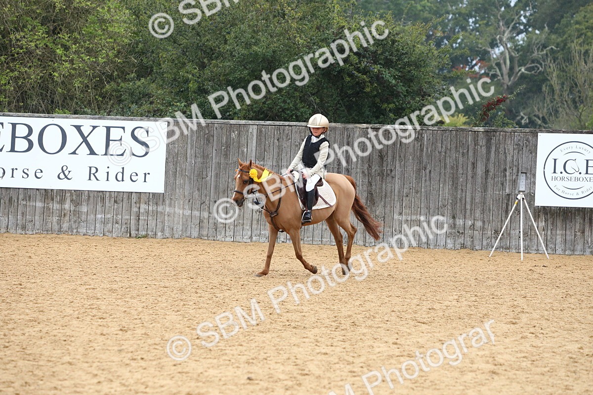 SBM_72137 - J3b - Mini Tour Junior Pony 40cm Championship