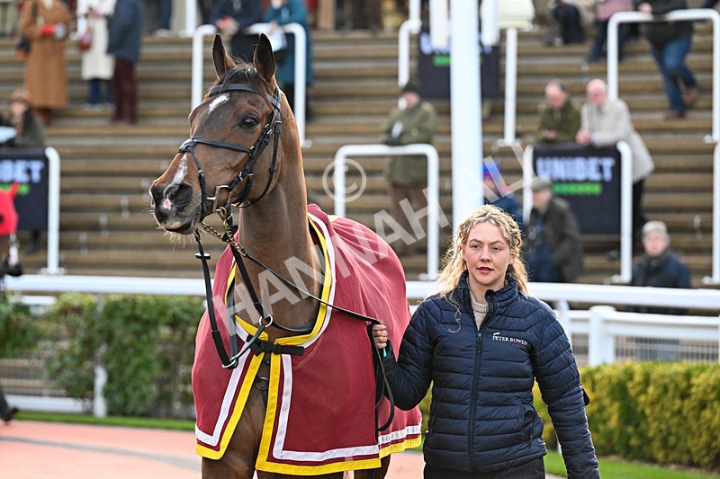 121225-Race 6-Statuario-6549 - Race 6