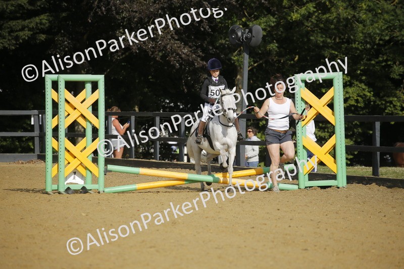 20250622-1166 - 40cm