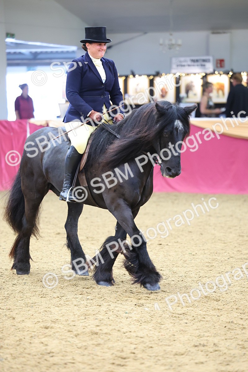 SBM_23723 - Class 904 - Supreme Final Ridden Diamond