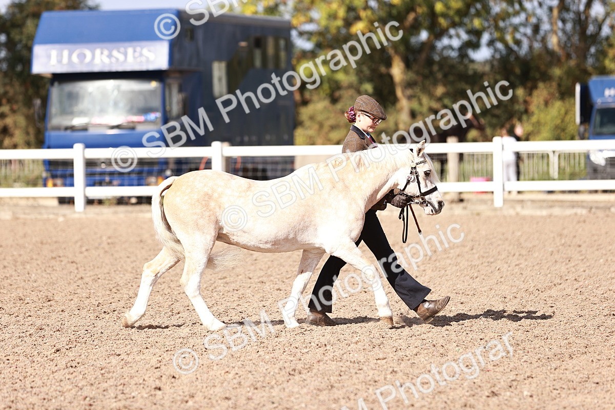 SBM_22865 - Class 706 - IH Veteran