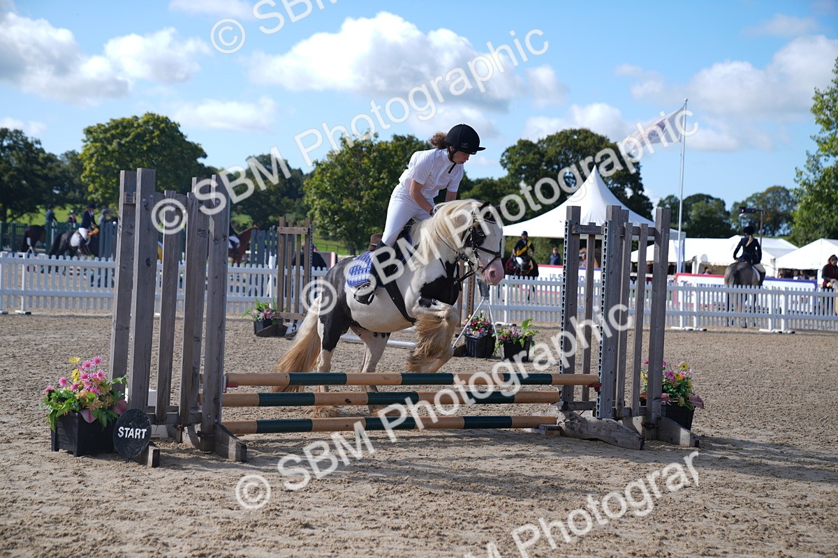 SBM_02360 - J54 Clear Round 45cm