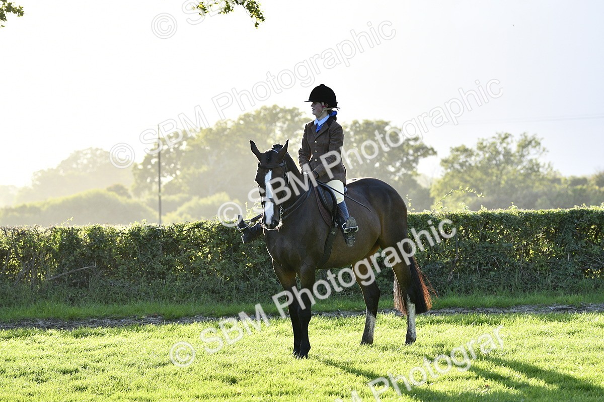 SBM_53570 - S14 - Riding Club Horse