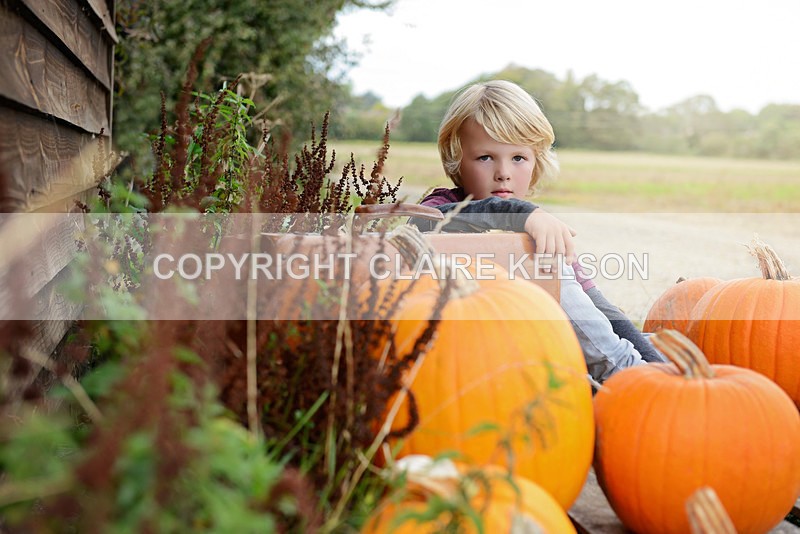 DSC_8771-3 - SEASONAL OUTDOOR SHOOTS - PUMPKINS