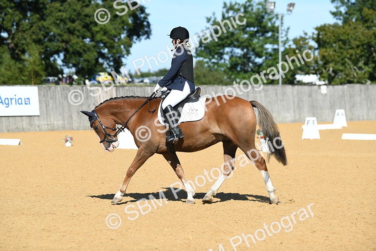 SBM_18142 - D4 - Small Tour Championship - Intro B