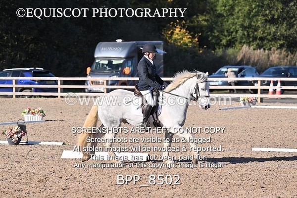 BPP_8502 - LONG ARENA
