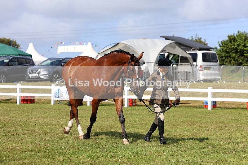 3E7A9564 - Class 4: Rising Star M/H Hunter