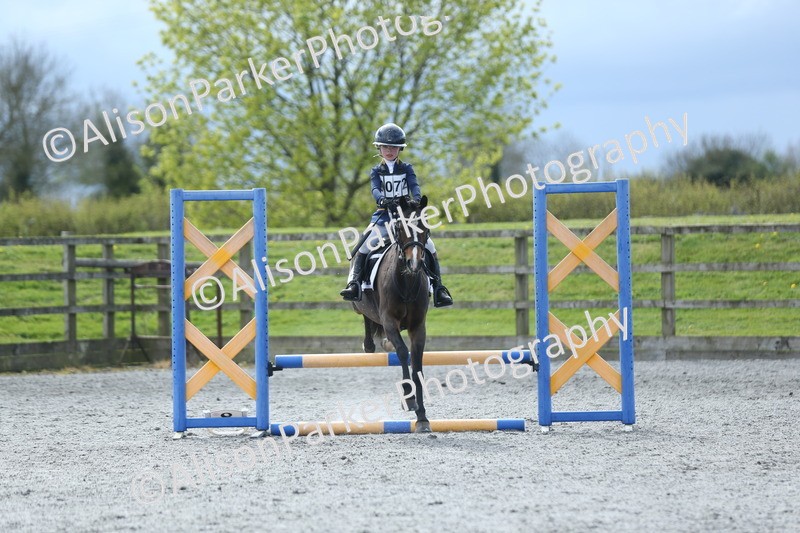 20260412-1807 - Show Jumping