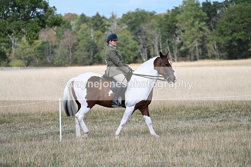 WJ7_6671 - Class 14 Ridden Coloured