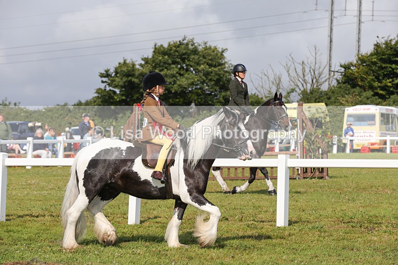 1X9A3469 - Skewbald and Piebald Ridden Championship