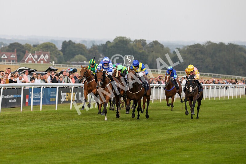 310824-Race 8-This Years Love-2346 - Race 8