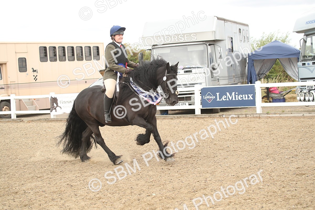 SBM_16714 - Class 507a - Working Veteran - 60cm (15-19)